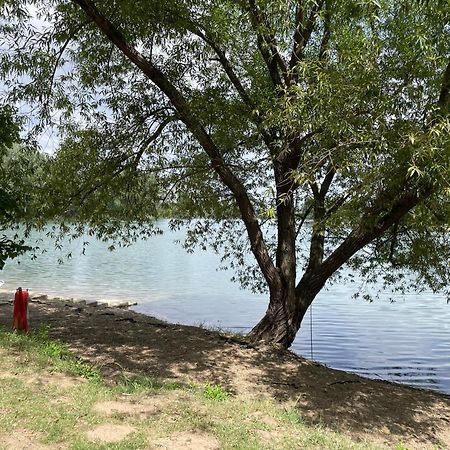 Camping Oaza Бела Църква Екстериор снимка