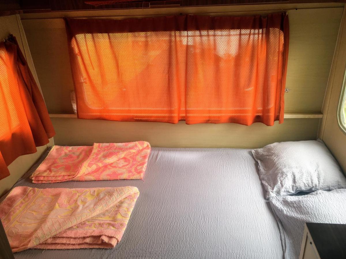Camping Oaza Бела Църква Екстериор снимка